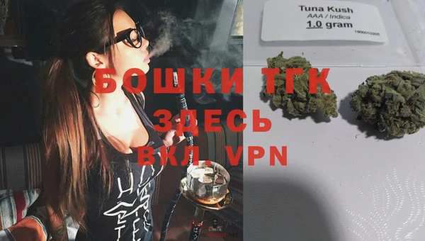 крисы Козловка