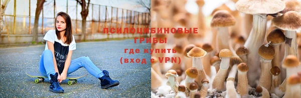 кокаин премиум Кодинск