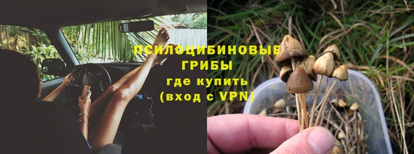 крисы Козловка