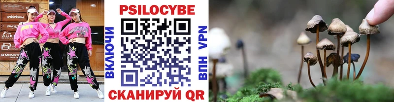 KRAKEN зеркало  Александровск  Псилоцибиновые грибы MAGIC MUSHROOMS  купить  