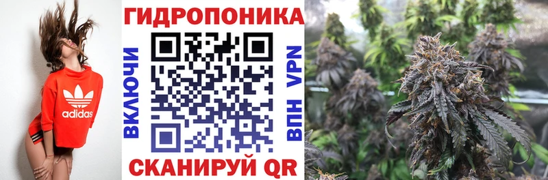 Шишки марихуана план Александровск